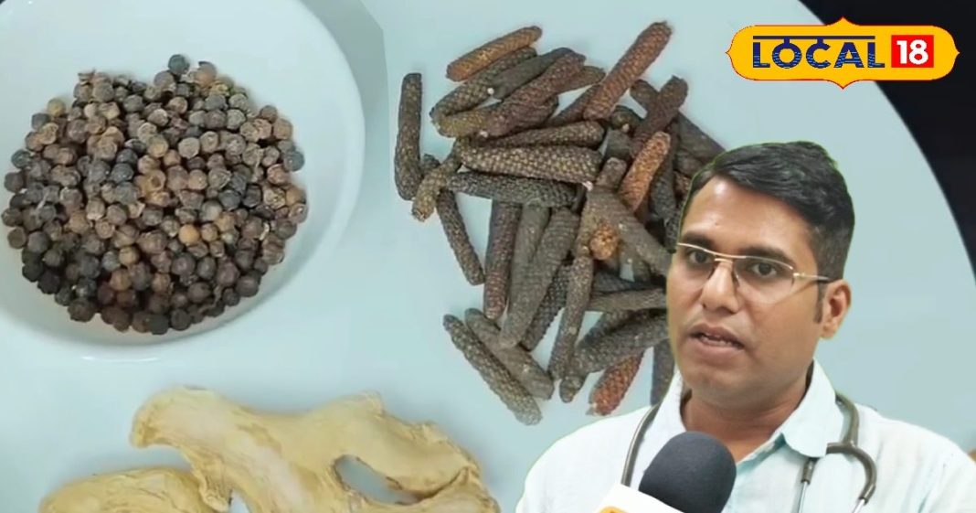 मौसमी बीमारियों का मौसम, आयुर्वेदिक डॉक्टर से जानें घरेलू नुस्खों से कैसे रखें सेहत का ख्याल – Chhattisgarh News