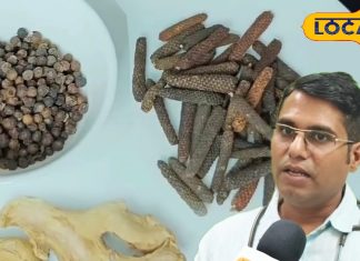 मौसमी बीमारियों का मौसम, आयुर्वेदिक डॉक्टर से जानें घरेलू नुस्खों से कैसे रखें सेहत का ख्याल – Chhattisgarh News