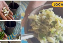 Recipe: इम्यूनिटी बूस्टर है अदरक-लहसुन और मिर्ची की ओखली चटनी, ये है आसान रेसिपी – Chhattisgarh News