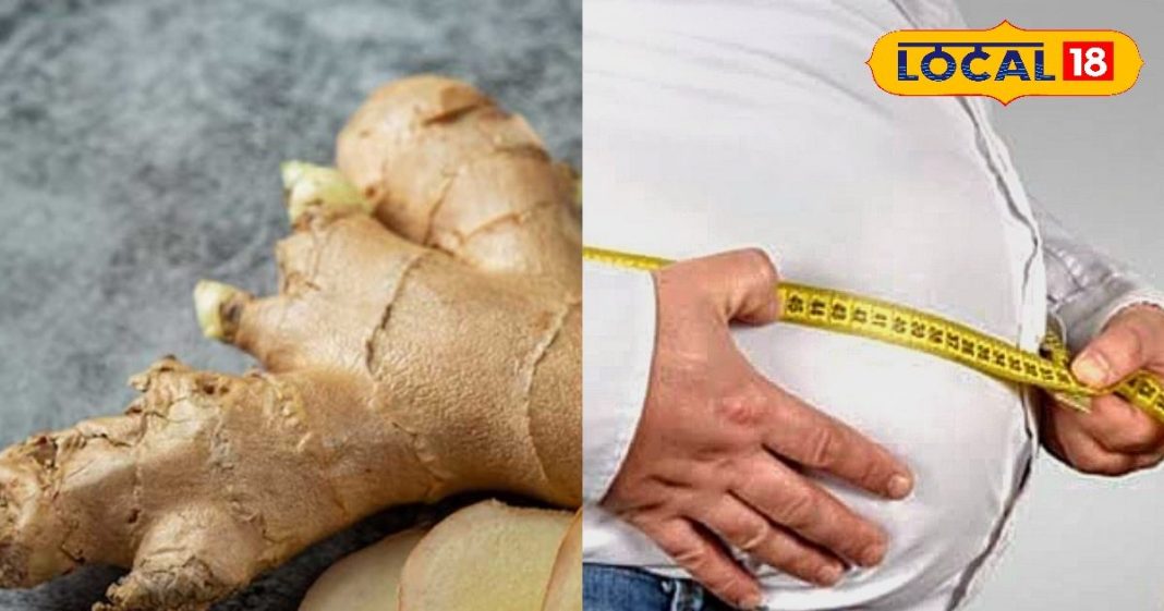 एक्स्ट्रा फैट और मोटापे से परेशान? जानें अदरक वाला सुपरफूड फार्मूला जो देगा तुरंत राहत, ऐसे करें सेवन