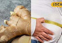 एक्स्ट्रा फैट और मोटापे से परेशान? जानें अदरक वाला सुपरफूड फार्मूला जो देगा तुरंत राहत, ऐसे करें सेवन