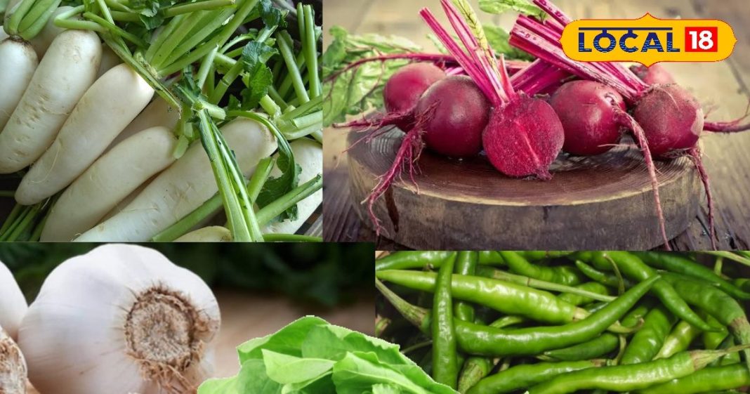 सर्दियों की सुपरहिट सब्जियां! गर्म तासीर से दुरुस्त रहेगी सेहत, आज ही करें डाइट में शामिल – Chhattisgarh News