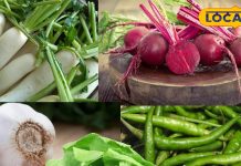 सर्दियों की सुपरहिट सब्जियां! गर्म तासीर से दुरुस्त रहेगी सेहत, आज ही करें डाइट में शामिल – Chhattisgarh News