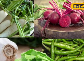 सर्दियों की सुपरहिट सब्जियां! गर्म तासीर से दुरुस्त रहेगी सेहत, आज ही करें डाइट में शामिल – Chhattisgarh News