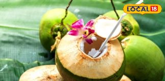 सर्दियों में नारियल पानी किसके लिए हानिकारक है? जानें जरूरी सावधानियां