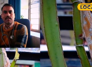 भरतपुर में हड़ जोड़ औषधि से टूटी हड्डियों का आयुर्वेदिक इलाज और फायदे.