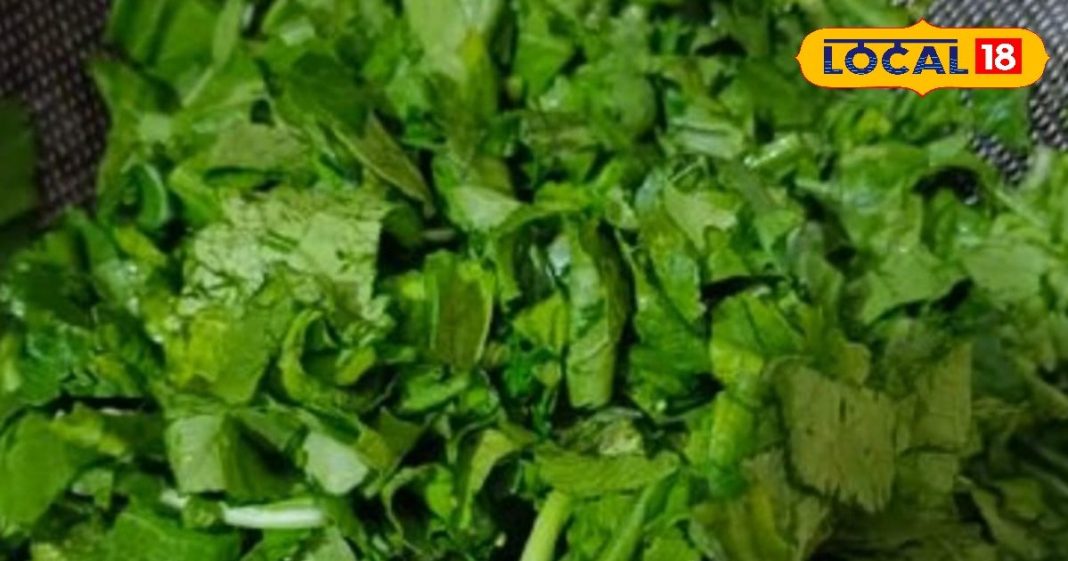 सरसों के साग में छुपा है सेहत का खजाना! जानें कैसे ये एक सब्जी दूर कर सकती है शरीर की 8 परेशानियां – Uttar Pradesh News