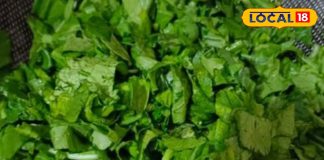 सरसों के साग में छुपा है सेहत का खजाना! जानें कैसे ये एक सब्जी दूर कर सकती है शरीर की 8 परेशानियां – Uttar Pradesh News