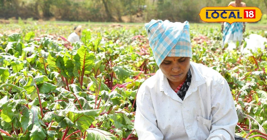 सर्दियों में सिर्फ एक गिलास रोज, सुपरमैन बन जाएगी बॉडी, इसका जूस बीमारियों का जानी दुश्मन – Uttar Pradesh News