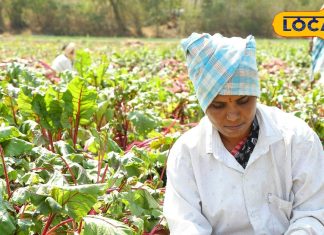 सर्दियों में सिर्फ एक गिलास रोज, सुपरमैन बन जाएगी बॉडी, इसका जूस बीमारियों का जानी दुश्मन – Uttar Pradesh News
