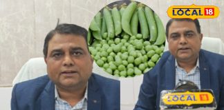 बड़ी से बड़ी बीमारियों का काल है ये सब्जी, साल में मिलती है सिर्फ 3 महीने, डॉक्टर से जानें इसके फायदे