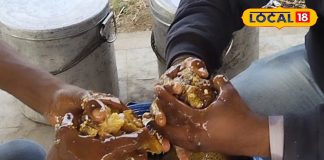 शहद के फायदे: मौसम के अनुसार बदलते हैं रंग, होते हैं गजब के फायदे, सुबह लिया तो वेट लॉस में भी असरदार, बढ़ाए इम्यूनिटी