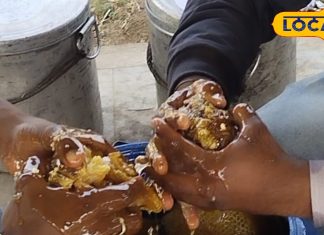 शहद के फायदे: मौसम के अनुसार बदलते हैं रंग, होते हैं गजब के फायदे, सुबह लिया तो वेट लॉस में भी असरदार, बढ़ाए इम्यूनिटी