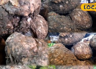 Desi Vegetable Health | Nutritious Vegetables Than Non-Veg | Health Tips Vegetables | Desi Superfoods | Chicken Better Than Mutton