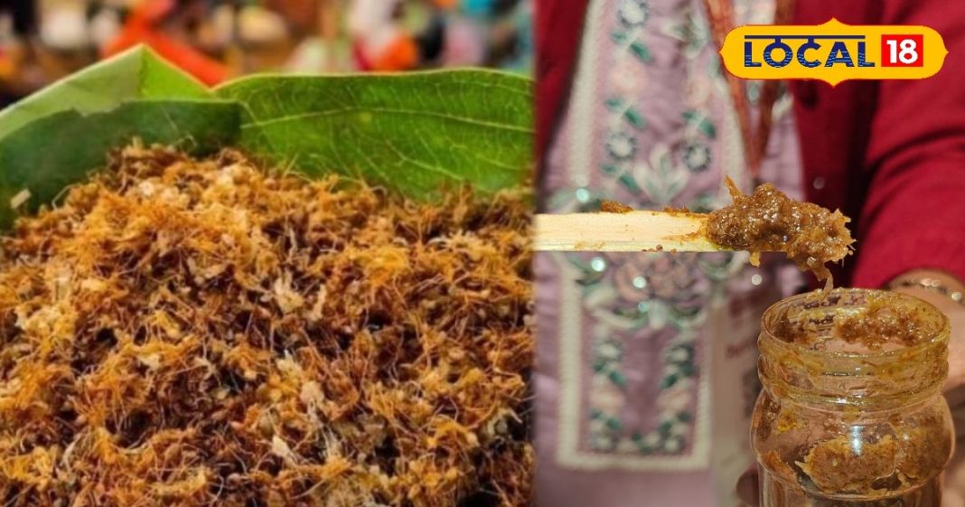 लाल चींटी का अचार… सर्दियों में जरूर खाते हैं आदिवासी, हैरान कर देगी वजह, ऐसे होता तैयार