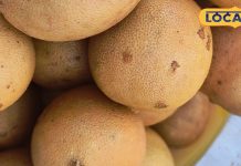 Nimbu Ka Achar Recipe | दादी–नानी की नींबू अचार रेसिपी | Long Shelf Life Lemon Pickle