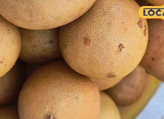 Nimbu Ka Achar Recipe | दादी–नानी की नींबू अचार रेसिपी | Long Shelf Life Lemon Pickle