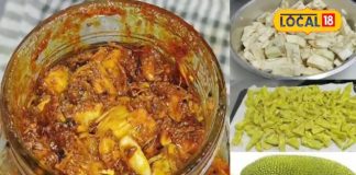 आम-नींबू छोड़िए बनाइये कटहल का अचार, फैमिली हो जाएगी फैन, रोज आएगी इतनी डिमांड, अगली बार भरेंगे डबल बरनी!