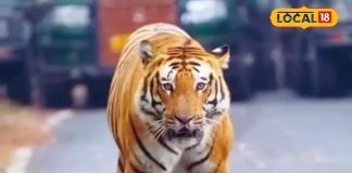 दिल्ली से 5 घंटे दूरी पर ‘हिडेन स्वर्ग’, गुलाबी ठंड में बना देगा ट्रिप को यादगार! जल्द करें PTR का दीदार – Uttar Pradesh News