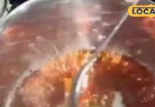 सर्दियों में रोजाना पिएं तुलसी की चाय, मिलेंगे कई स्वास्थ्य लाभ, तनाव और चिंता होगी कम; इम्यून सिस्टम होगा मजबूत – Uttar Pradesh News