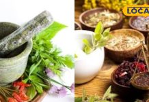 शरीर और मन के लिए प्राकृतिक टॉनिक…. इस जड़ी बूटी से दूर होंगी बीमारियां, जानिए आयुर्वेद का चमत्कार