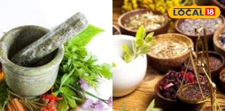 शरीर और मन के लिए प्राकृतिक टॉनिक…. इस जड़ी बूटी से दूर होंगी बीमारियां, जानिए आयुर्वेद का चमत्कार