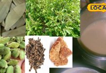 सुबह चाय में डालकर पी लें ये 6 चीजें… कोसों दूर रहेगी ठंड! पास नहीं भटकेगी सर्दी-खांसी और पाचन की समस्या – Bihar News