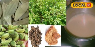 सुबह चाय में डालकर पी लें ये 6 चीजें… कोसों दूर रहेगी ठंड! पास नहीं भटकेगी सर्दी-खांसी और पाचन की समस्या – Bihar News