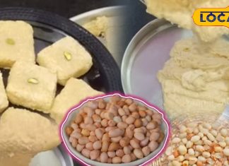 घर पर मूंगफली बर्फी बनाकर सर्दियों का लें मजा, सिर्फ 5 चीजों से बनेगी ये खास मिठाई, नोट कर लें रेसिपी