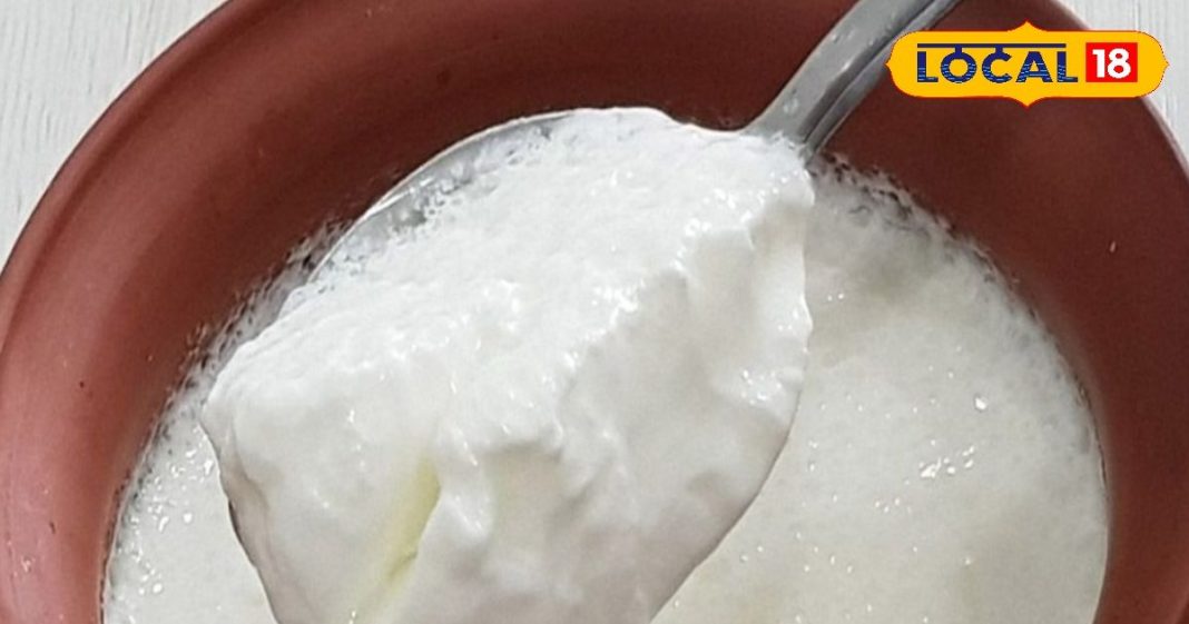 आप भी रोजना करते हैं दही का सेवन, तो जान लें खाने का सही तरीका, वरना भुगतने पड़ेंगे ये गंभीर परिणाम – Uttar Pradesh News