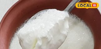 आप भी रोजना करते हैं दही का सेवन, तो जान लें खाने का सही तरीका, वरना भुगतने पड़ेंगे ये गंभीर परिणाम – Uttar Pradesh News