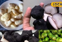 सर्दियों में सिंघाड़ा खाने के फायदे: इम्यूनिटी और पाचन में मदद