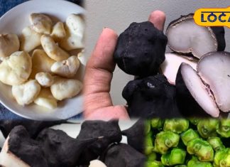 सर्दियों में सिंघाड़ा खाने के फायदे: इम्यूनिटी और पाचन में मदद