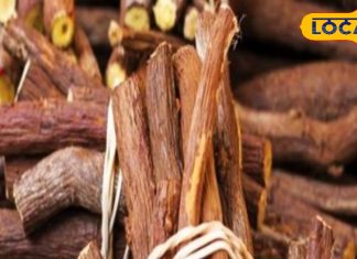 खांसी को जड़ से खत्म कर देगी ये जड़ी-बूटी! बस मुंह में रख लें ये छोटा सा टुकड़ा, दूर हो जाएगी परेशानी – Uttarakhand News