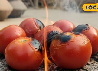 ट्राई करें भुने हुए टमाटर की ये चटनी, उंगलियां चाटते रह जाएंगे लोग, सब पूछेंगे देहाती चटनी बनाने का तरीका – Uttar Pradesh News