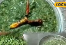 रीवा की मशहूर ‘चने की भाजी’ क्यों है हर घर की पहली पसंद? स्वाद का राज जानकर आप भी बनाएं, ये है Recipe – Madhya Pradesh News