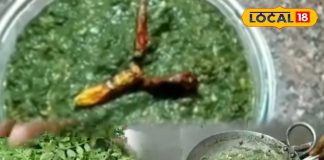 रीवा की मशहूर ‘चने की भाजी’ क्यों है हर घर की पहली पसंद? स्वाद का राज जानकर आप भी बनाएं, ये है Recipe – Madhya Pradesh News