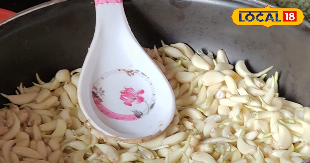 सर्दियों में इस आसान तरीके से बनाएं लहसुन का अचार, नहीं होगा खराब, हर कोई पूछेगा रेसिपी – Uttar Pradesh News