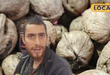 अंबिकापुर में कश्मीरी अखरोट की धूम! ठंड में स्वाद और सेहत दोनों का खजाना, बच्चों का नेचुरल मेमोरी बूस्टर – Chhattisgarh News