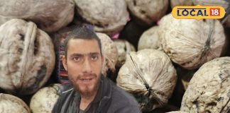 अंबिकापुर में कश्मीरी अखरोट की धूम! ठंड में स्वाद और सेहत दोनों का खजाना, बच्चों का नेचुरल मेमोरी बूस्टर – Chhattisgarh News