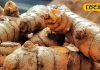 हेल्थ टिप्स: सर्दियों में बेस्ट इम्यूनिटी बूस्टर है कच्ची हल्दी, ऐसे करें सेवन और रहें हमेशा सेहतमंद – Rajasthan News