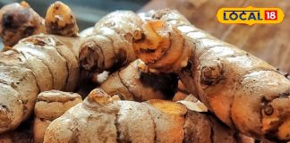 ą¤¹ą„ą¤²ą„ऄ ą¤ą¤æą¤Ŗą„स: ą¤øą¤°ą„ą¤¦ą¤æą¤Æą„ą¤ ą¤®ą„ą¤ ą¤¬ą„ą¤øą„ą¤ ą¤ą¤®ą„ą¤Æą„ą¤Øą¤æą¤ą„ ą¤¬ą„ą¤øą„ą¤ą¤° ą¤¹ą„ ą¤ą¤ą„ą¤ą„ ą¤¹ą¤²ą„ą¤¦ą„, ą¤ą¤øą„ ą¤ą¤°ą„ą¤ ą¤øą„ą¤µą¤Ø ą¤ą¤° ą¤°ą¤¹ą„ą¤ ą¤¹ą¤®ą„ą¤¶ą¤¾ ą¤øą„ą¤¹ą¤¤ą¤®ą¤ą¤¦ – Rajasthan News