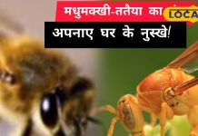 Bee Sting Remedy | Wasp Sting Home Remedies | Natural Treatment for Sting | Pain Relief Tips