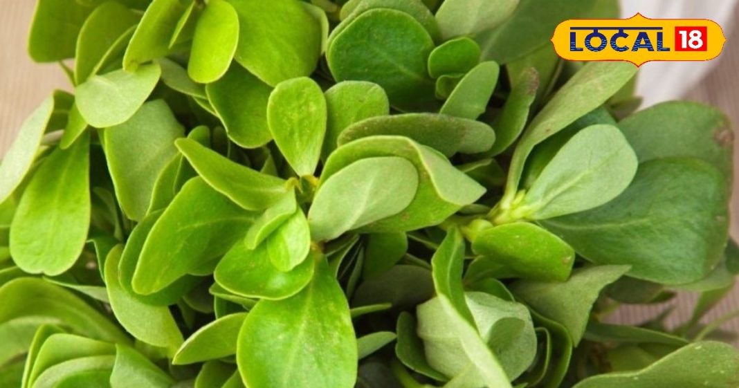 Kulfa Saag Recipe | Omega-3 Rich Foods | Healthy Green Saag | Kulfa Health Benefits | Winter Special Saag | Easy Cooking Recipe