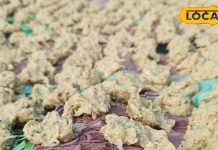 ठंड में हर घर की पहली पसंद विंध्य की मशहूर ‘बरिहा बड़ी’, झटपट बनाने की रेसिपी – Madhya Pradesh News