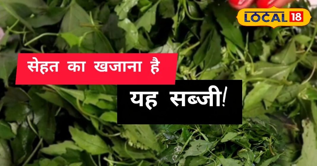सर्दियों का सुपरफूड है यह साग, विटामिन और मिनरल्स से भरपूर; हड्डियों से लेकर लिवर तक के लिए बेहद फायदेमंद