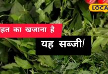 सर्दियों का सुपरफूड है यह साग, विटामिन और मिनरल्स से भरपूर; हड्डियों से लेकर लिवर तक के लिए बेहद फायदेमंद