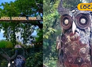 Kevladev National Park | Bharatpur Wildlife | Admakad Owl | Bird Watching Bharatpur | Rajasthan National Parks | Nature Tourism Rajasthan