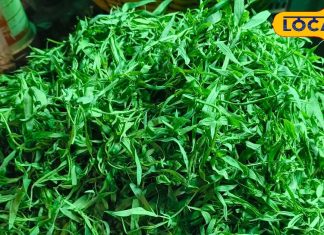 winter special bihari dish sag benefits