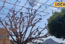 कम बजट में घूमने का है प्लान? पुष्कर बनेगा आपका परफेक्ट डेस्टिनेशन, मन मोह लेगी खूबसूरती और शांत जगहें